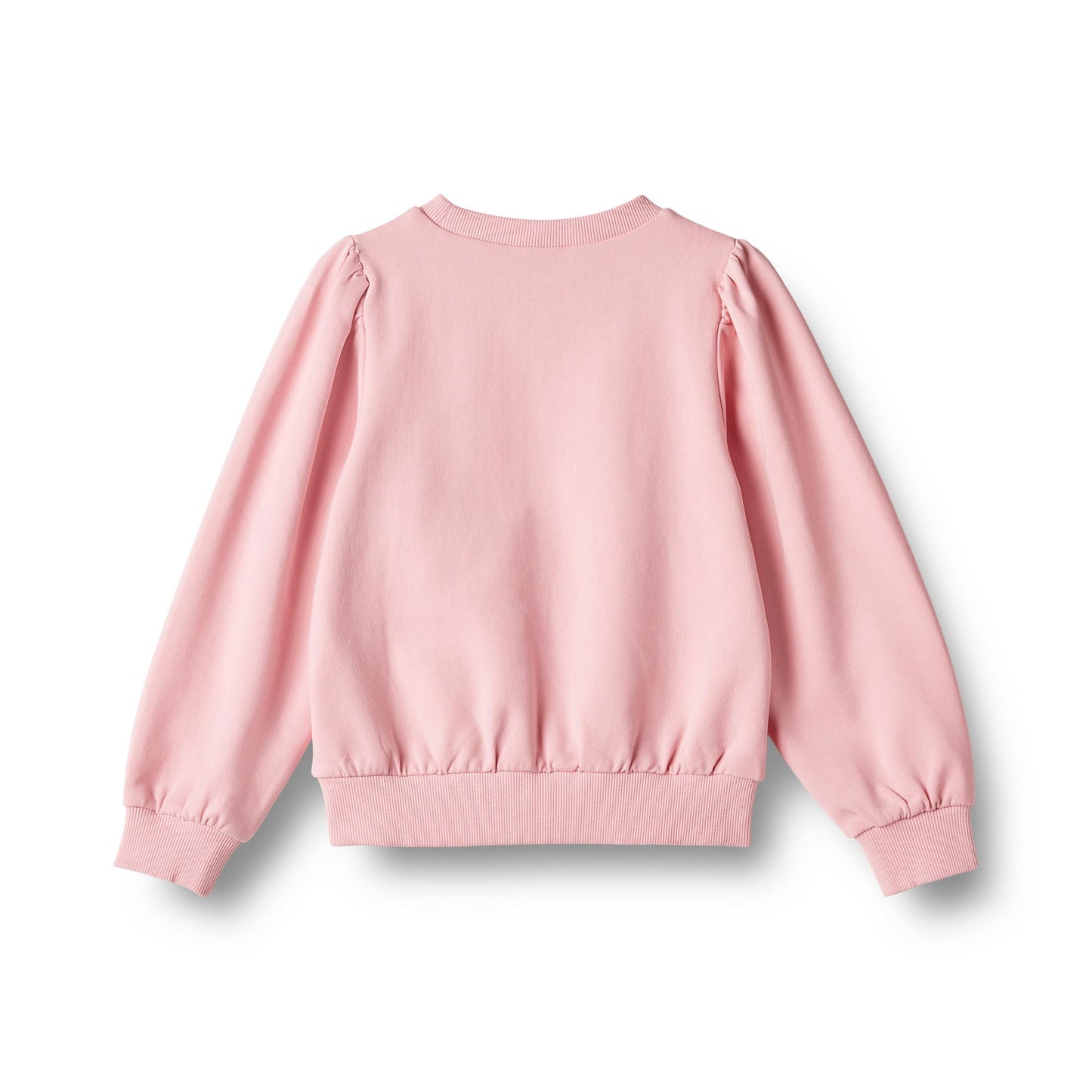 Sweatshirt mit Stickerei - Schmetterling