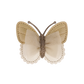 DONSJE - Haarclip - Schmetterling