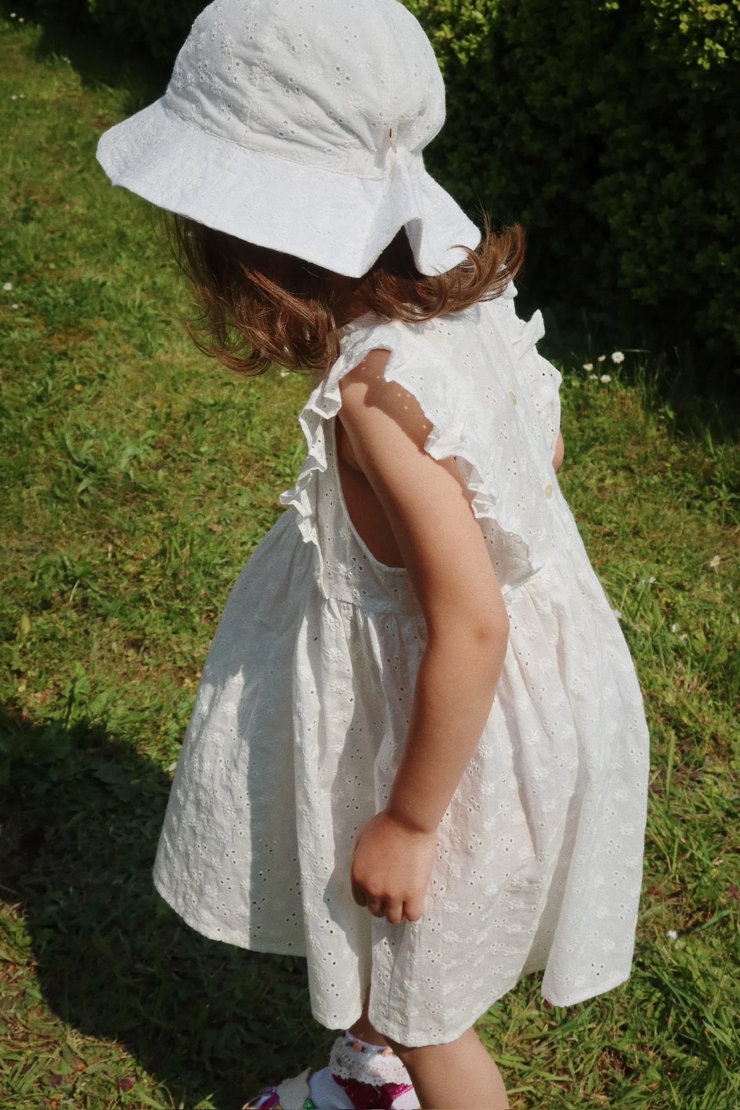 Sonnenhut - Lacey White