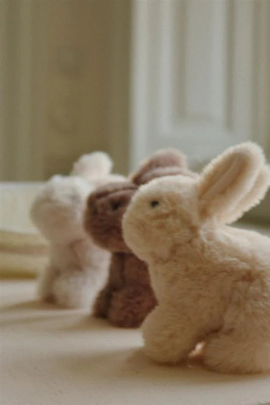 Bunny Love - multi