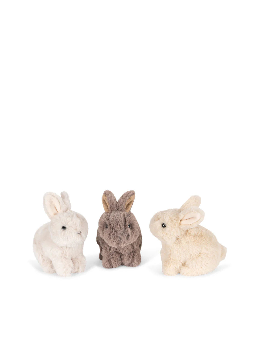 Bunny Love - multi
