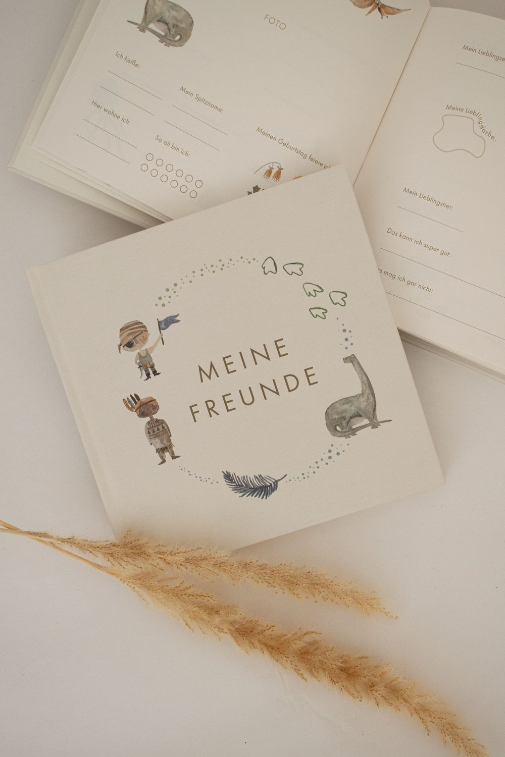 FREUNDEBUCH - PIRATE, DINO & LITTLE FEATHER