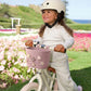 PIN & RIDE KORB BANWOOD - Dusty Rose