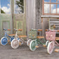 PIN & RIDE KORB BANWOOD - Dusty Rose