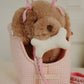 Welpe Maude - pink check