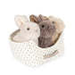 Bunny Love - multi