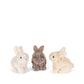 Bunny Love - multi