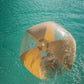 BEACH BALL LARGE - CHERRY